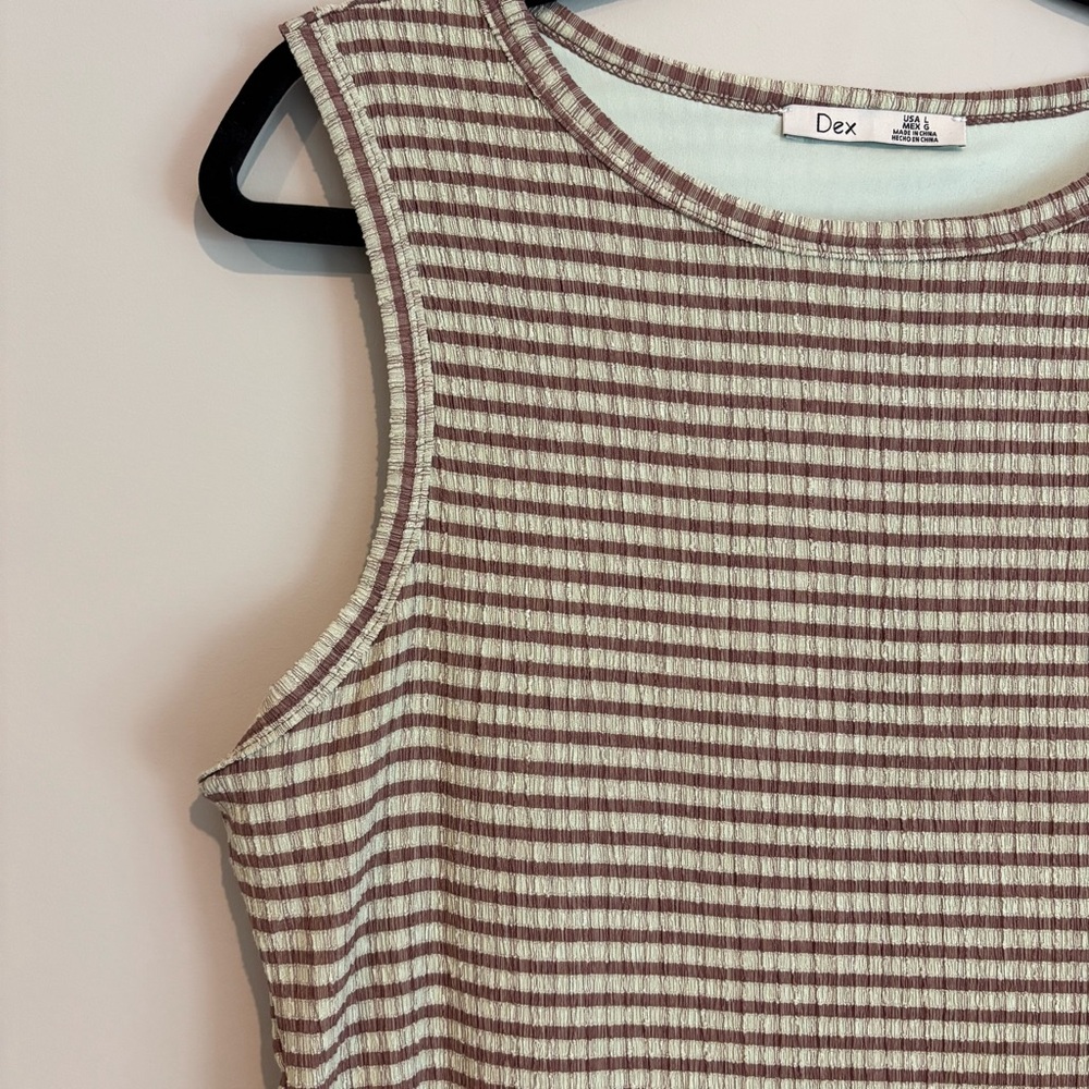 Dex Women's Sleeveless Striped Dress - Brown and Light Mint Green